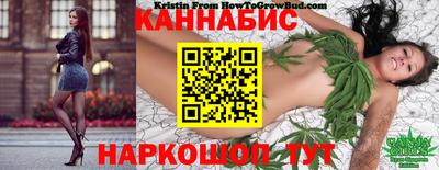 индика Комсомольск-на-Амуре